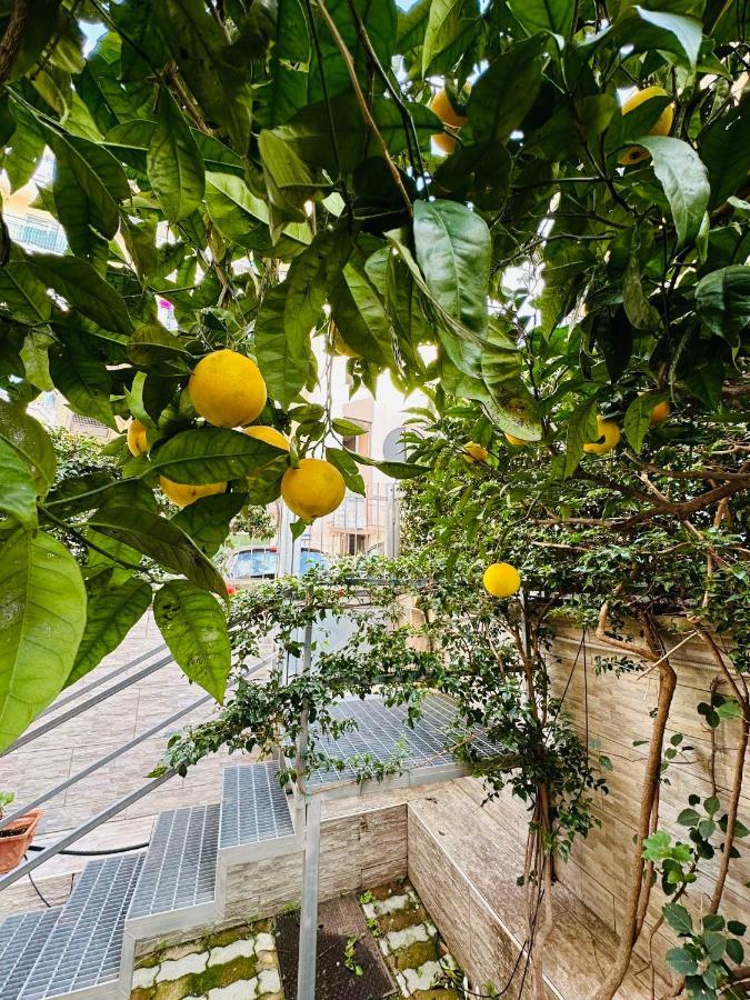 Ferdirisa Vesuvio Home&Garden Сан Джорджо а Кремано Екстериор снимка